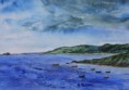 /album/galerie-de-photos-aquarelles/vue-derriere-port-racine-jpg2/